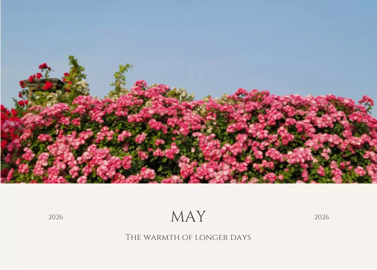 노랑 모던 계절 포트폴리오