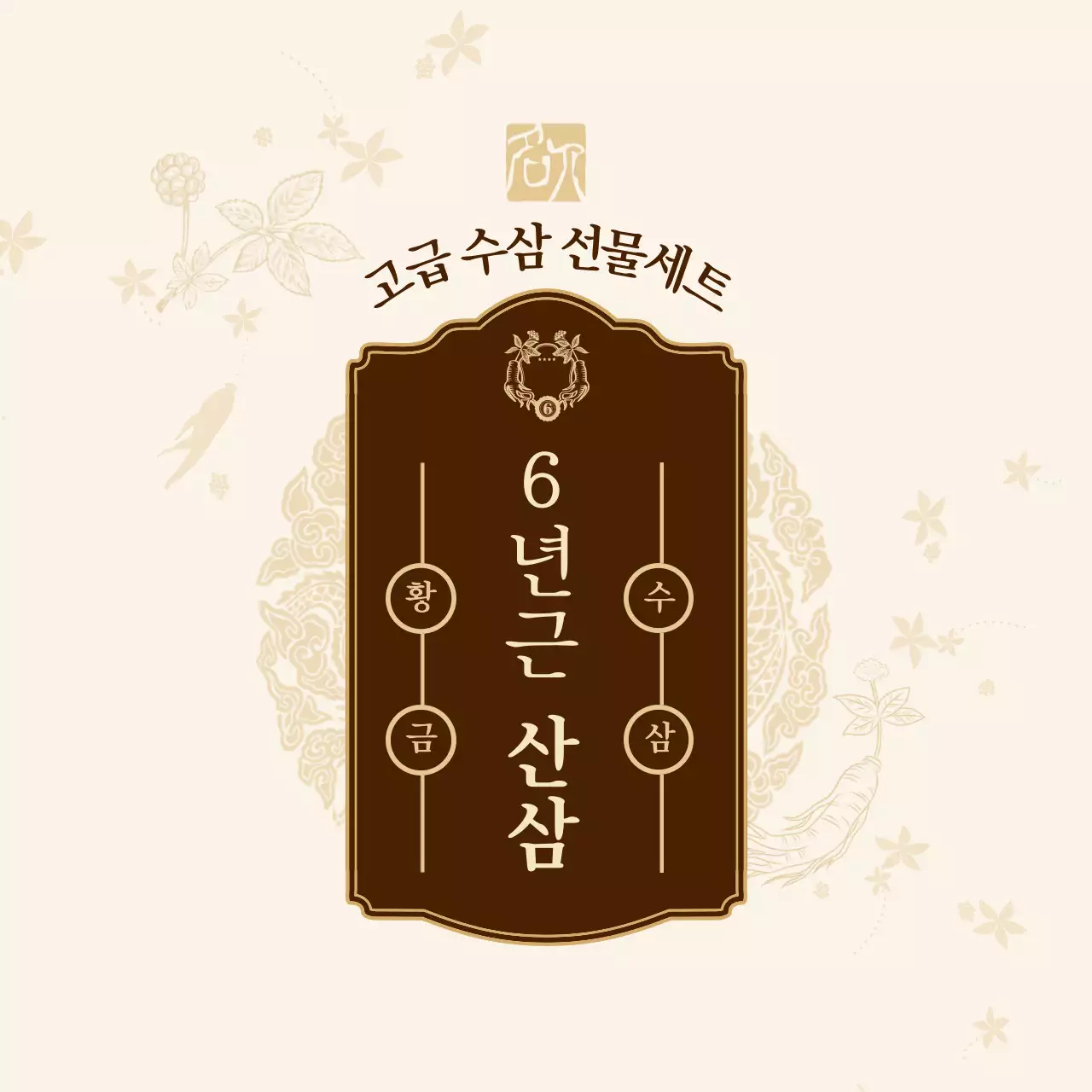 베이지 전통 건강 제품 홍보