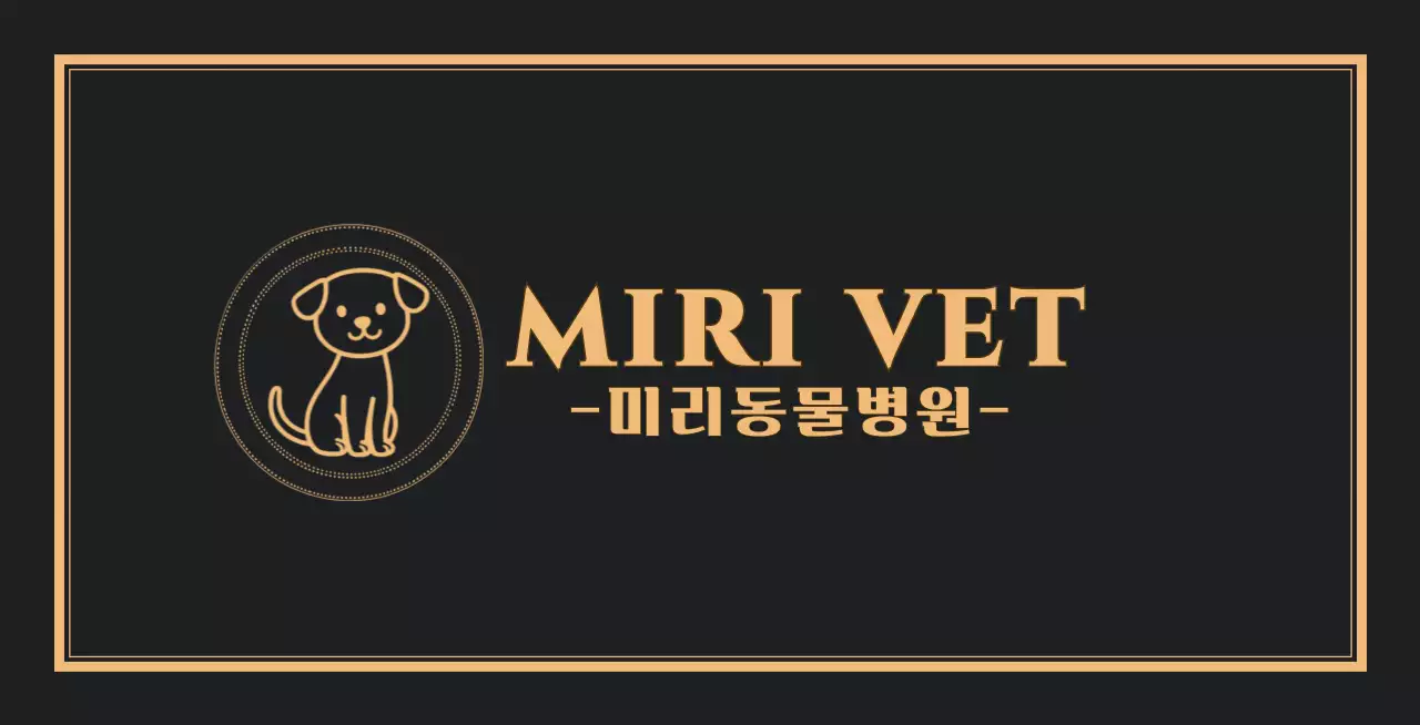 검정 깔끔 동물병원 안내