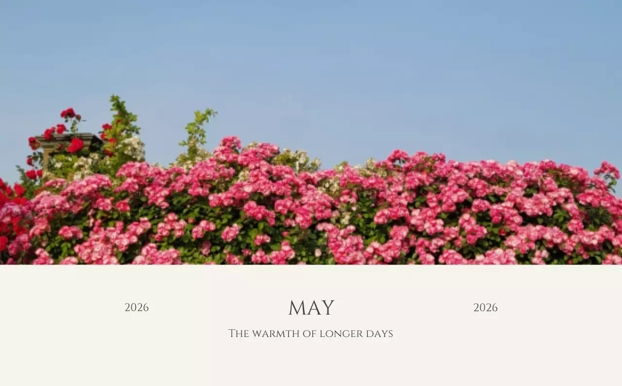 노랑 심플 계절 안내