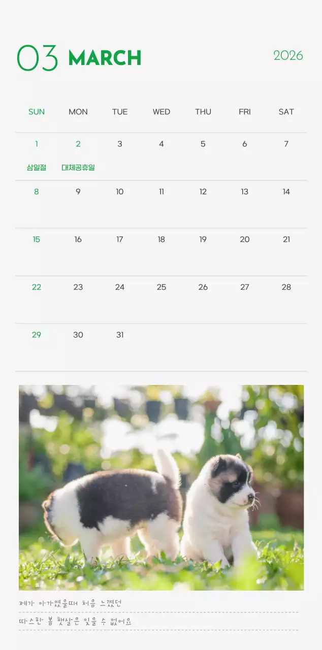 초록색 포인트 컬러에 강아지 사진과 귀여운 메시지가 있는 달력