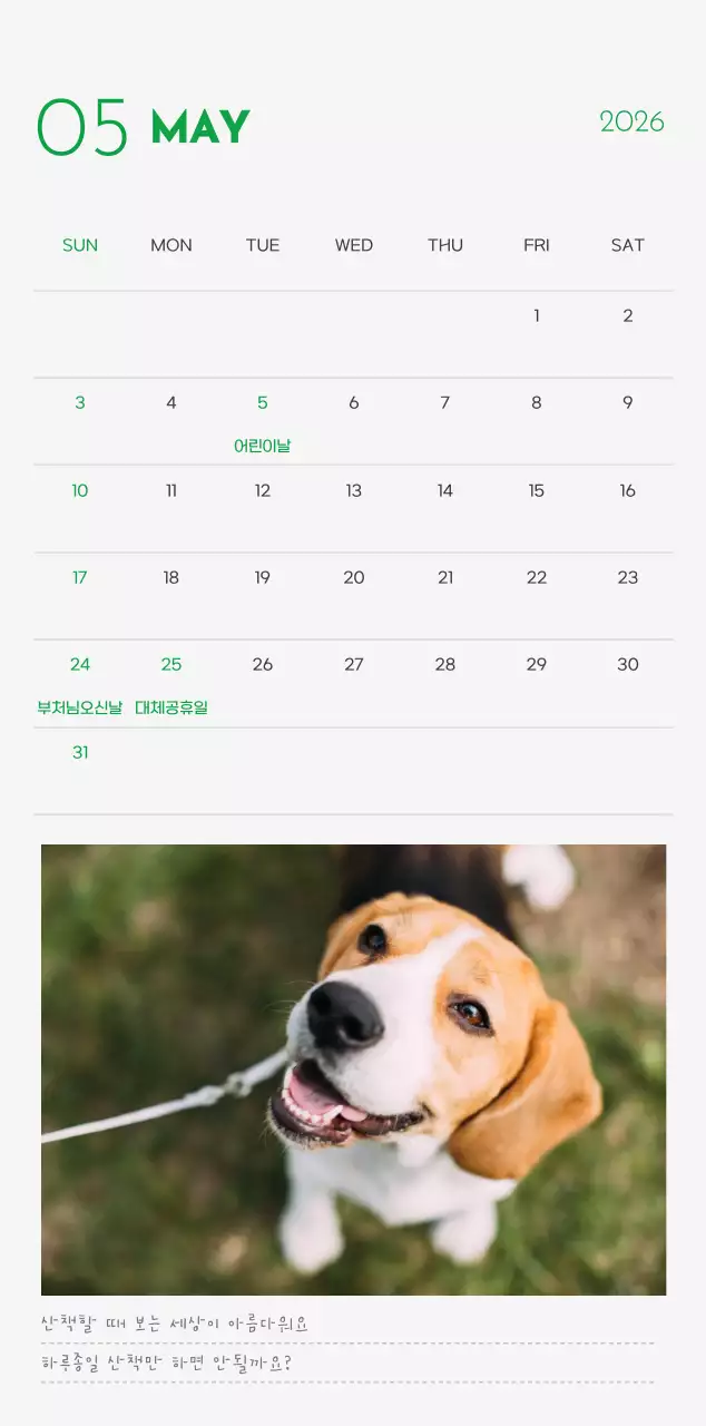 초록색 포인트 컬러에 강아지 사진과 귀여운 메시지가 있는 달력