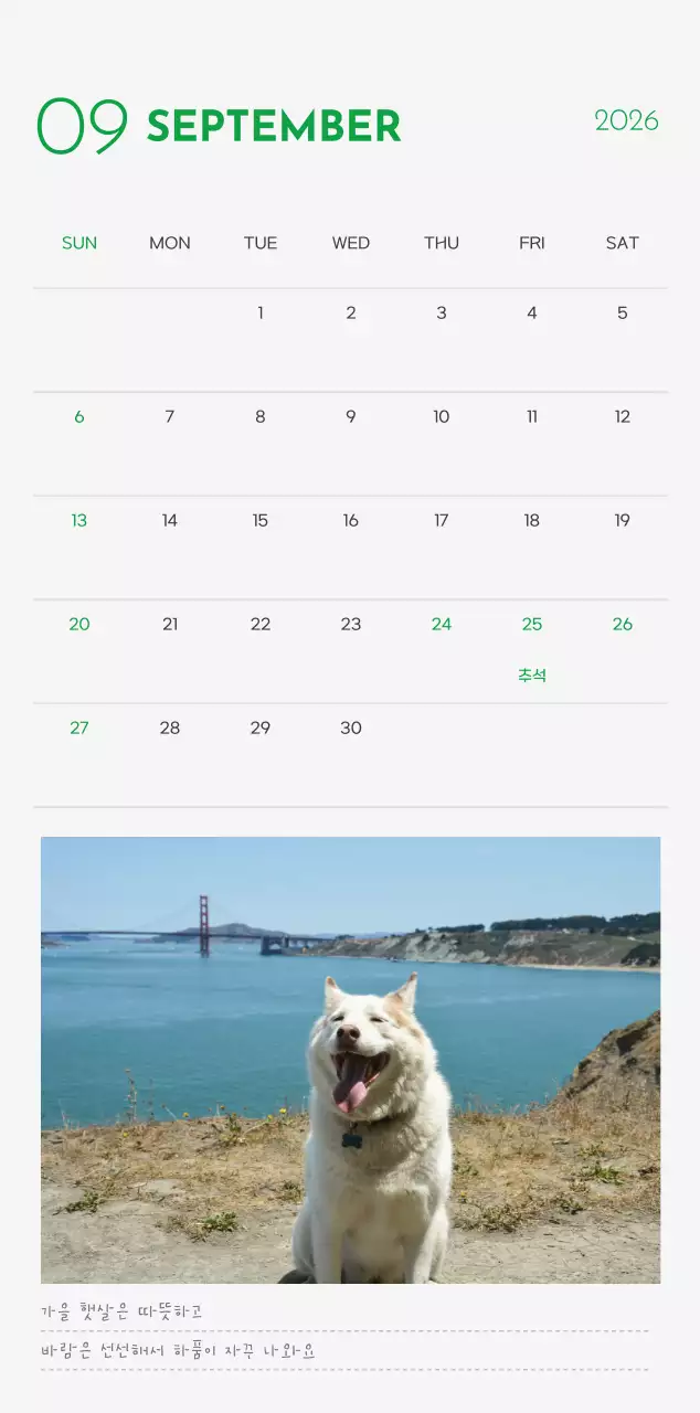 초록색 포인트 컬러에 강아지 사진과 귀여운 메시지가 있는 달력