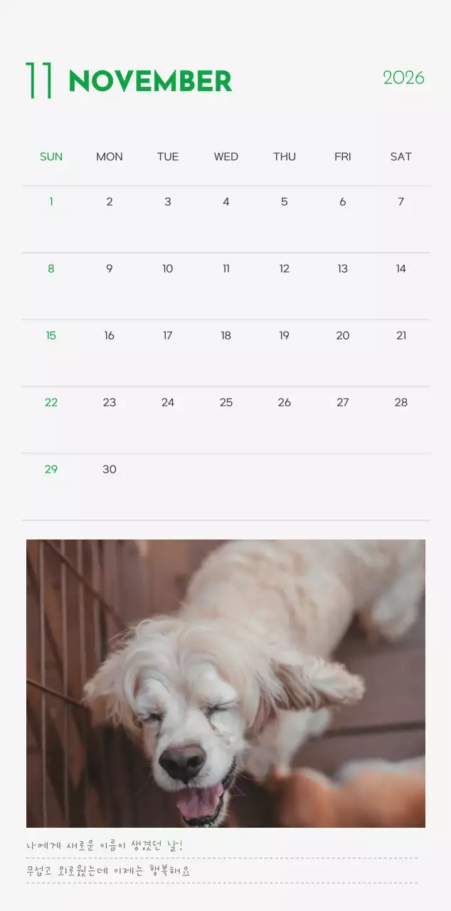 초록색 포인트 컬러에 강아지 사진과 귀여운 메시지가 있는 달력