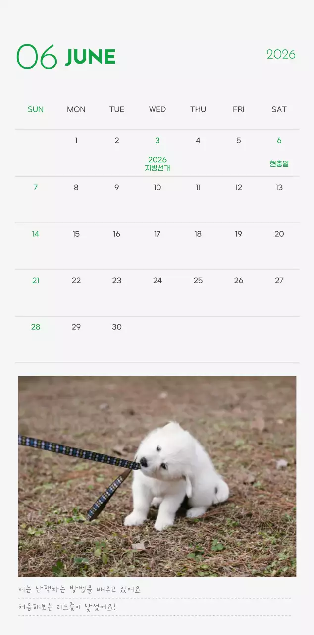 초록색 포인트 컬러에 강아지 사진과 귀여운 메시지가 있는 달력