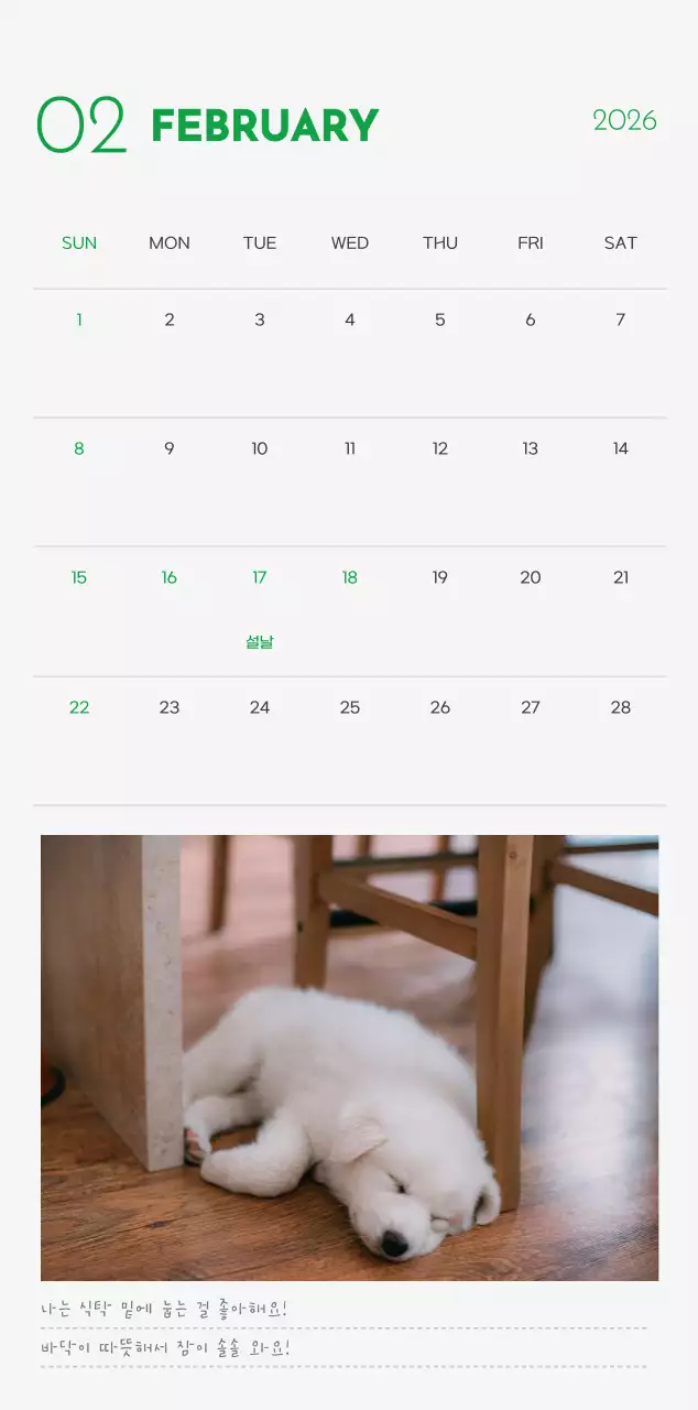 초록색 포인트 컬러에 강아지 사진과 귀여운 메시지가 있는 달력