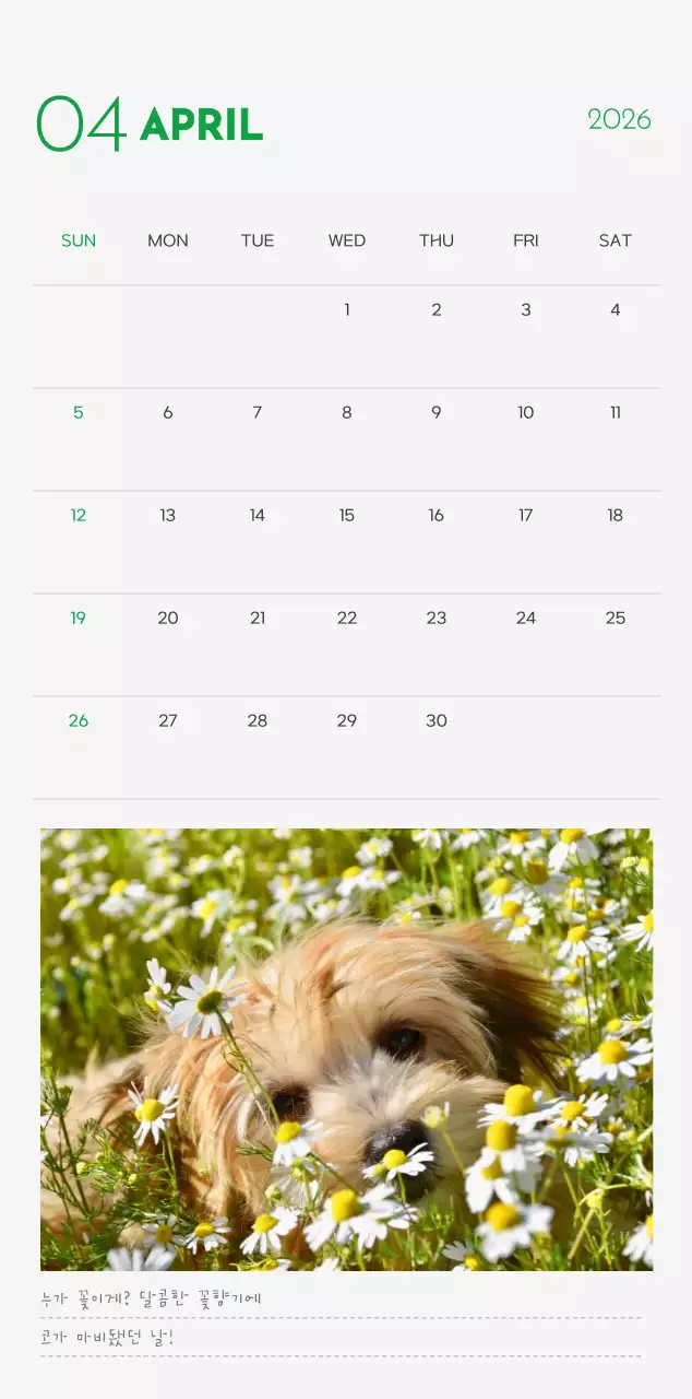 초록색 포인트 컬러에 강아지 사진과 귀여운 메시지가 있는 달력