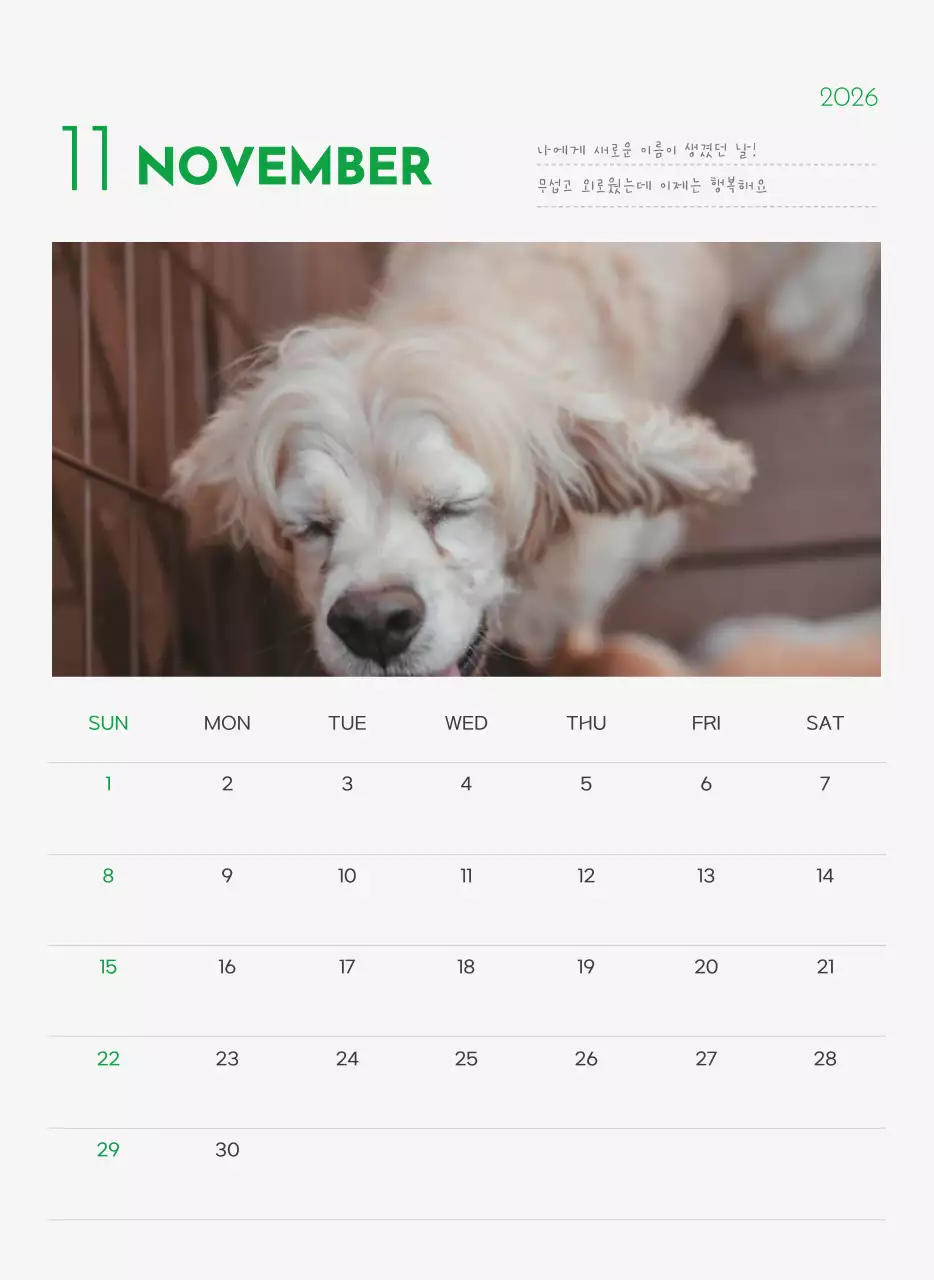 초록색 포인트 컬러에 강아지 사진과 귀여운 메시지가 있는 달력