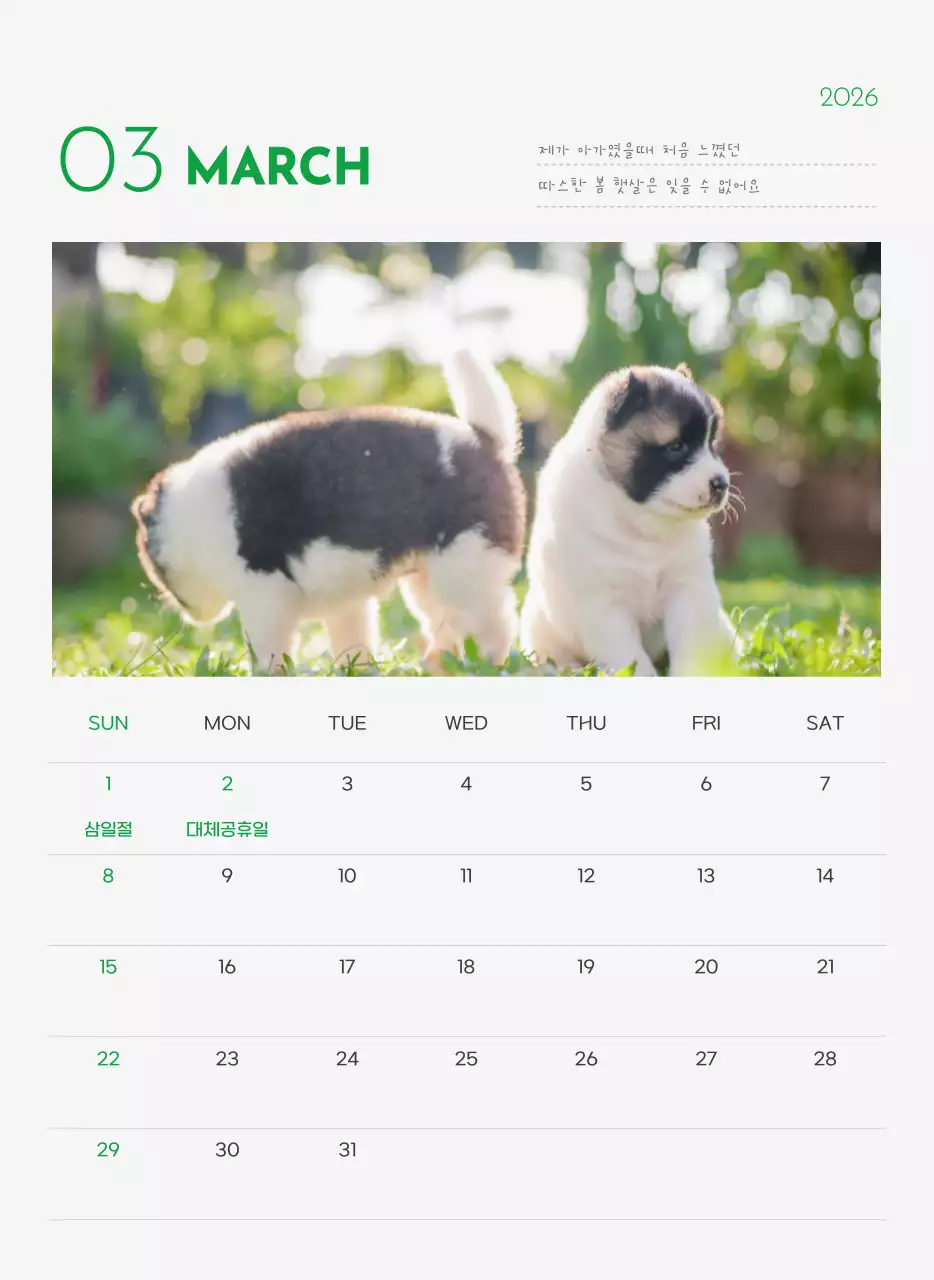 초록색 포인트 컬러에 강아지 사진과 귀여운 메시지가 있는 달력