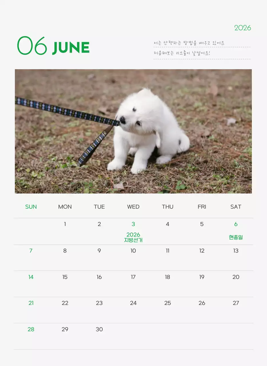 초록색 포인트 컬러에 강아지 사진과 귀여운 메시지가 있는 달력