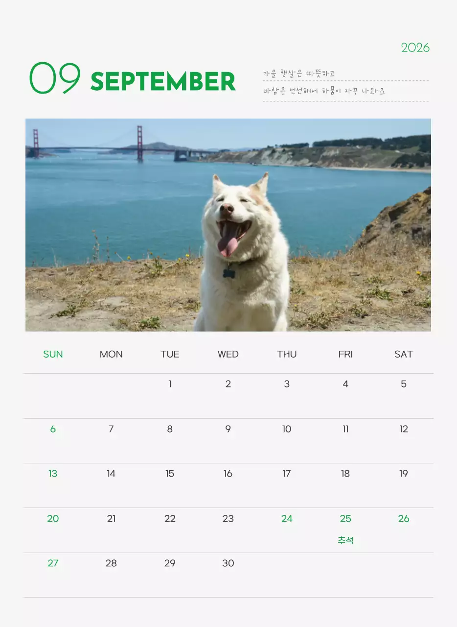 초록색 포인트 컬러에 강아지 사진과 귀여운 메시지가 있는 달력