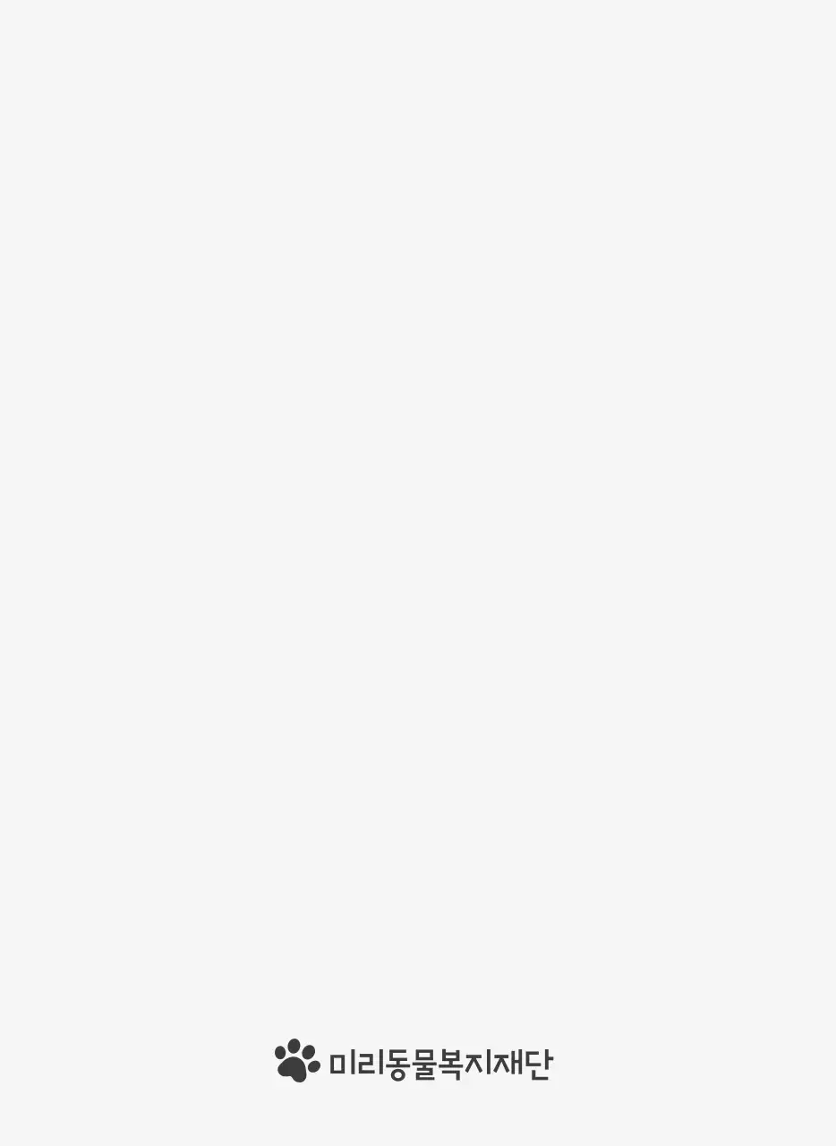 초록색 포인트 컬러에 강아지 사진과 귀여운 메시지가 있는 달력