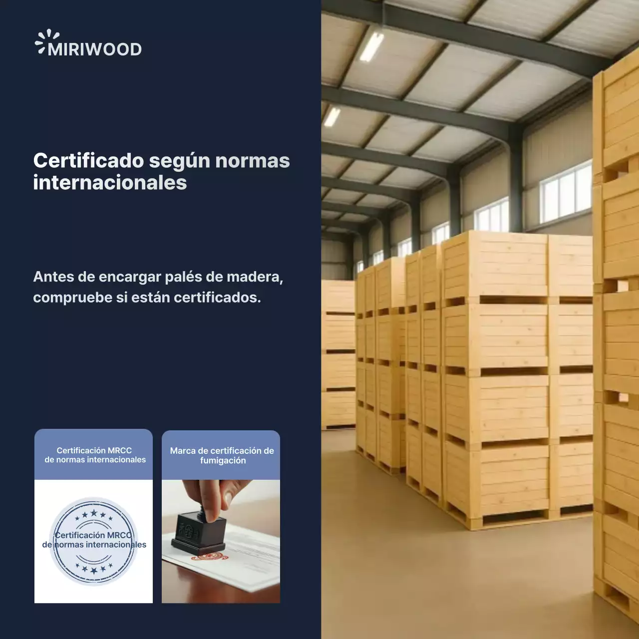 Promoción de productos certificados Black Modern