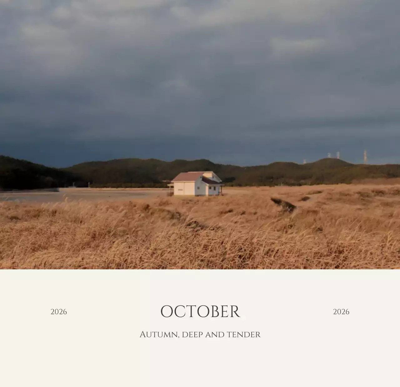 노랑 모던 계절 포트폴리오