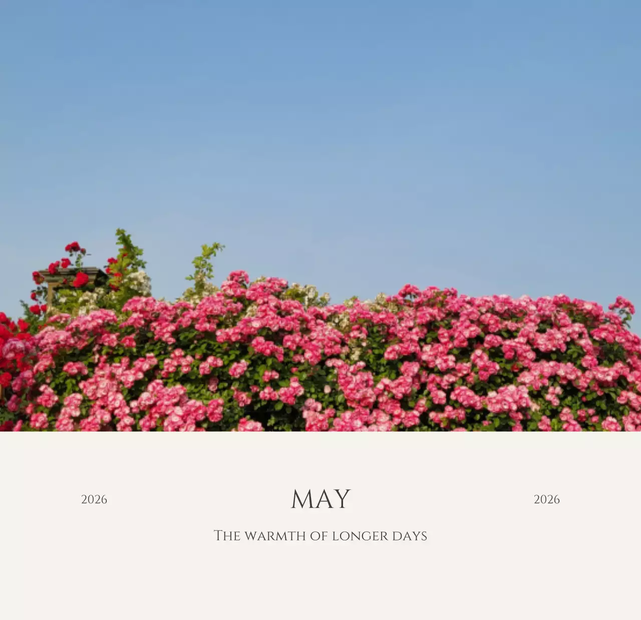 노랑 모던 계절 포트폴리오