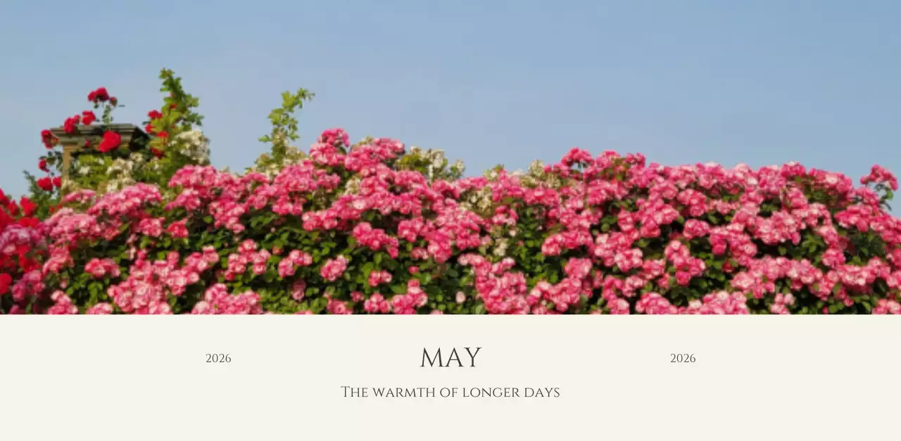 노랑 미니멀 자연 광고