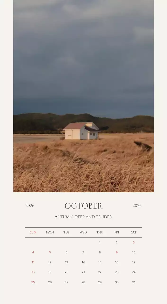 노랑 심플 계절 포트폴리오