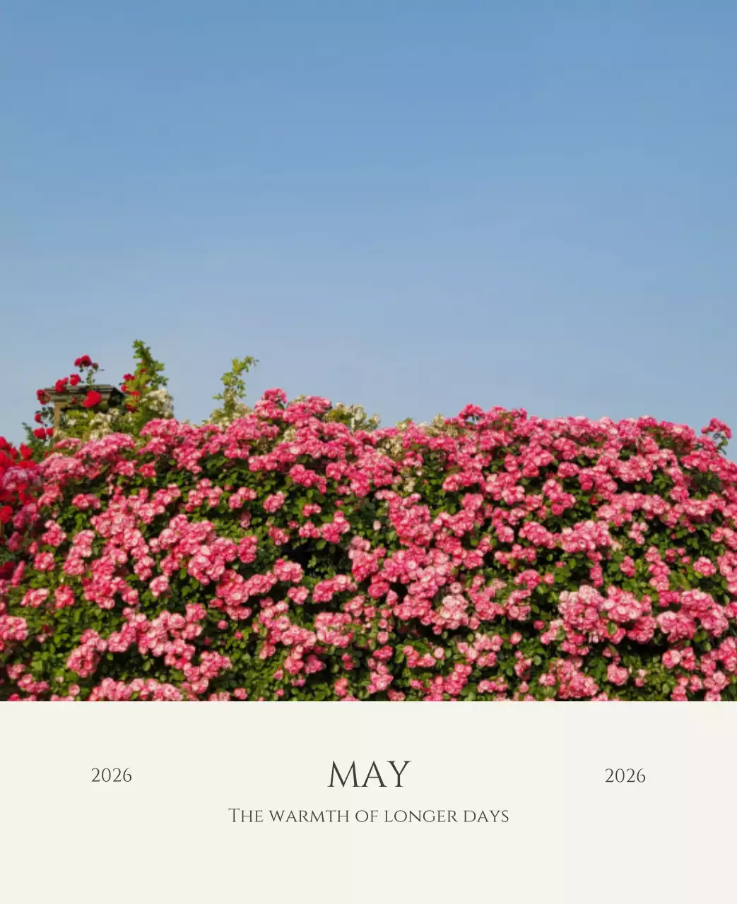 노랑 모던 풍경 엽서