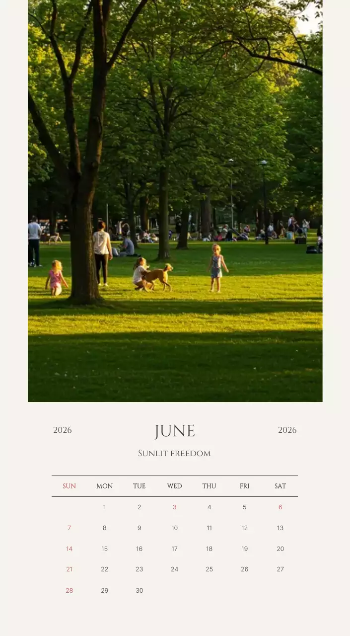 노랑 심플 계절 포트폴리오