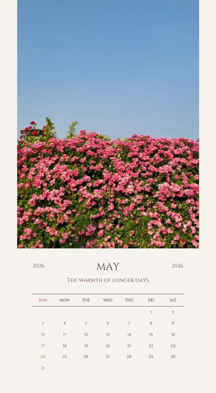 노랑 심플 계절 포트폴리오