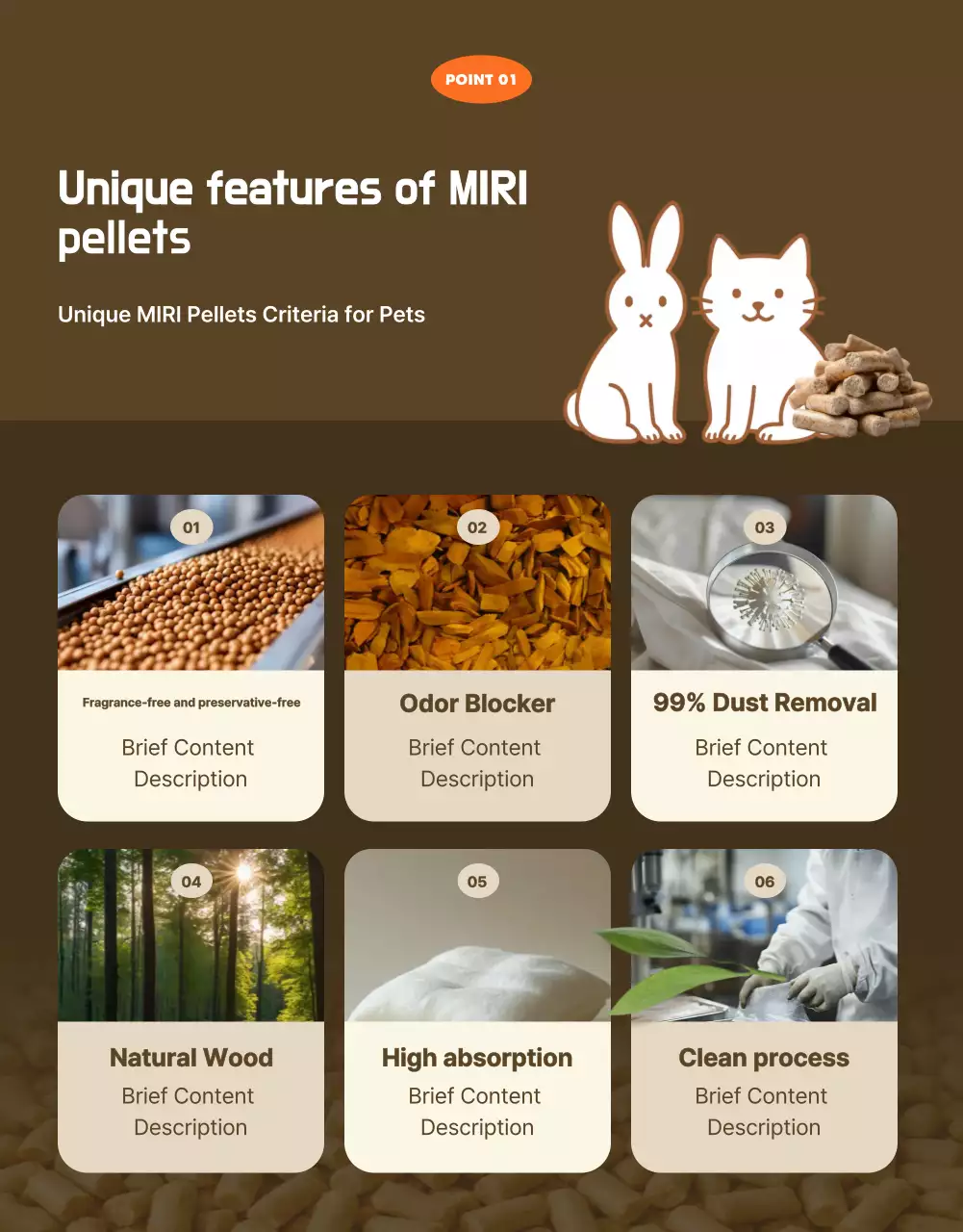 Orange Simple Pet Product Promotion