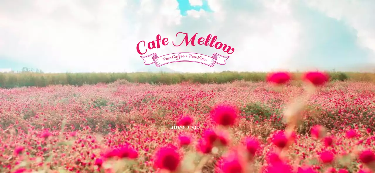 ピンク オシャレ カフェ ロゴ 写真