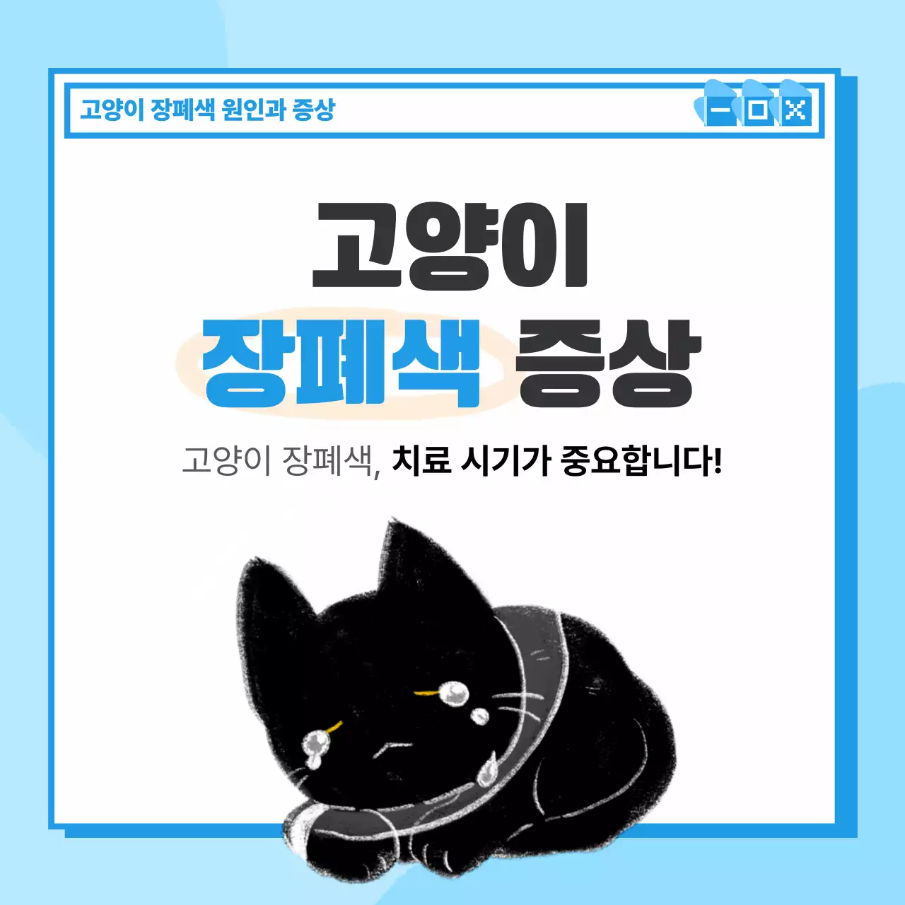 하늘색 심플 반려동물 동물병원 카드뉴스