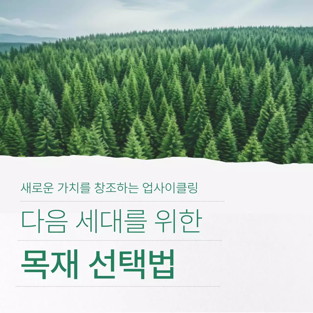 초록 자연 환경 안내