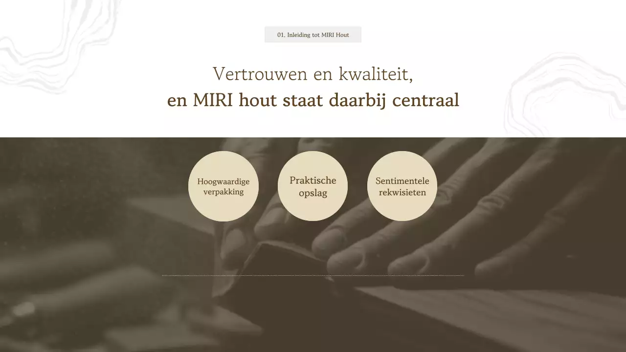 Beige Eenvoudige Productintroductiecatalogus