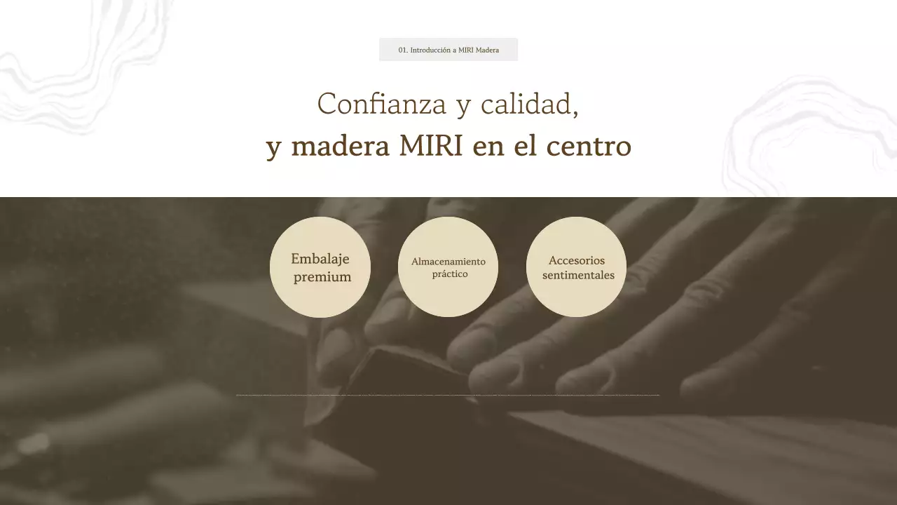 Catálogo de introducción de productos Beige Simple