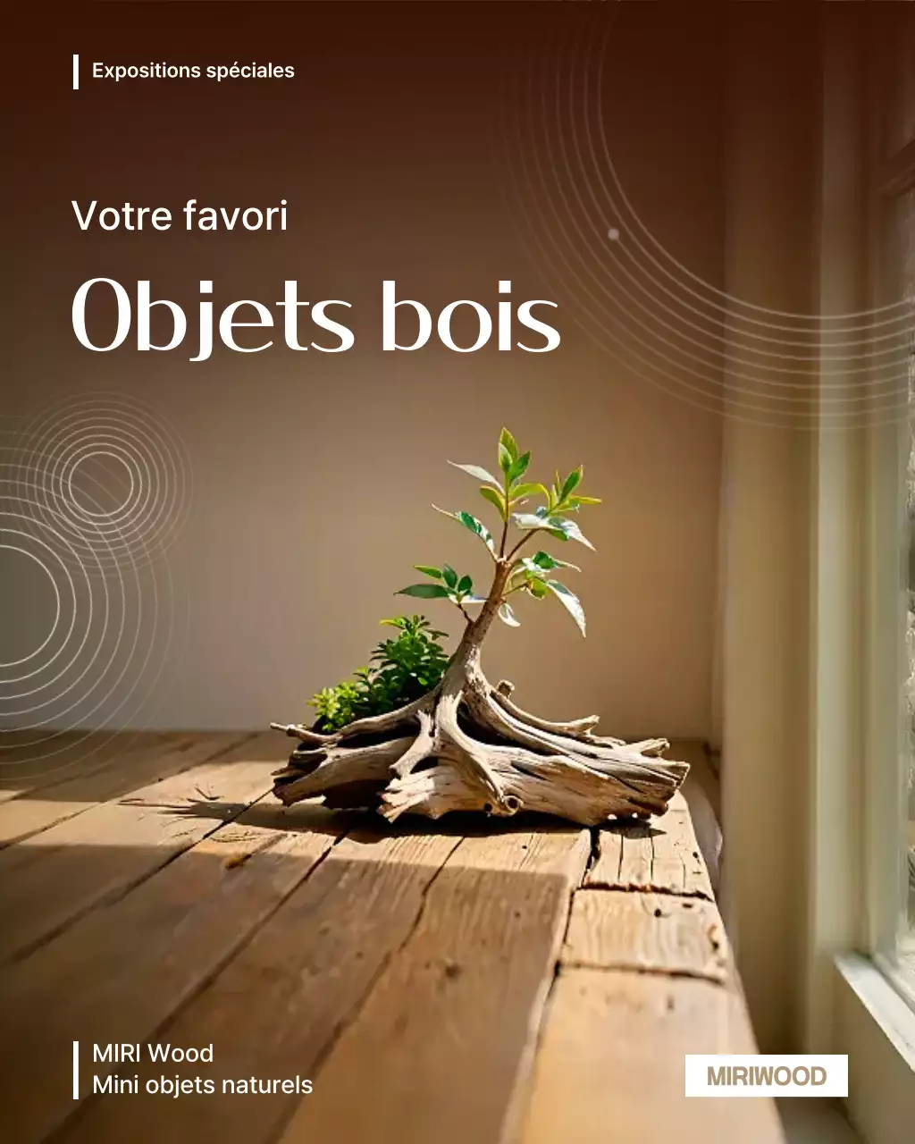 Exposition d'aménagement intérieur naturel Brown