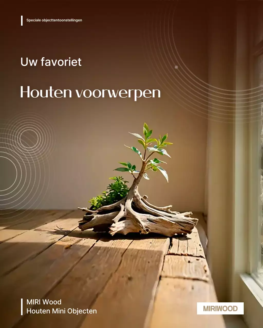 Tentoonstelling Brown Natural Interior Planning