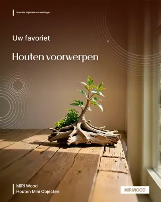 Tentoonstelling Brown Natural Interior Planning