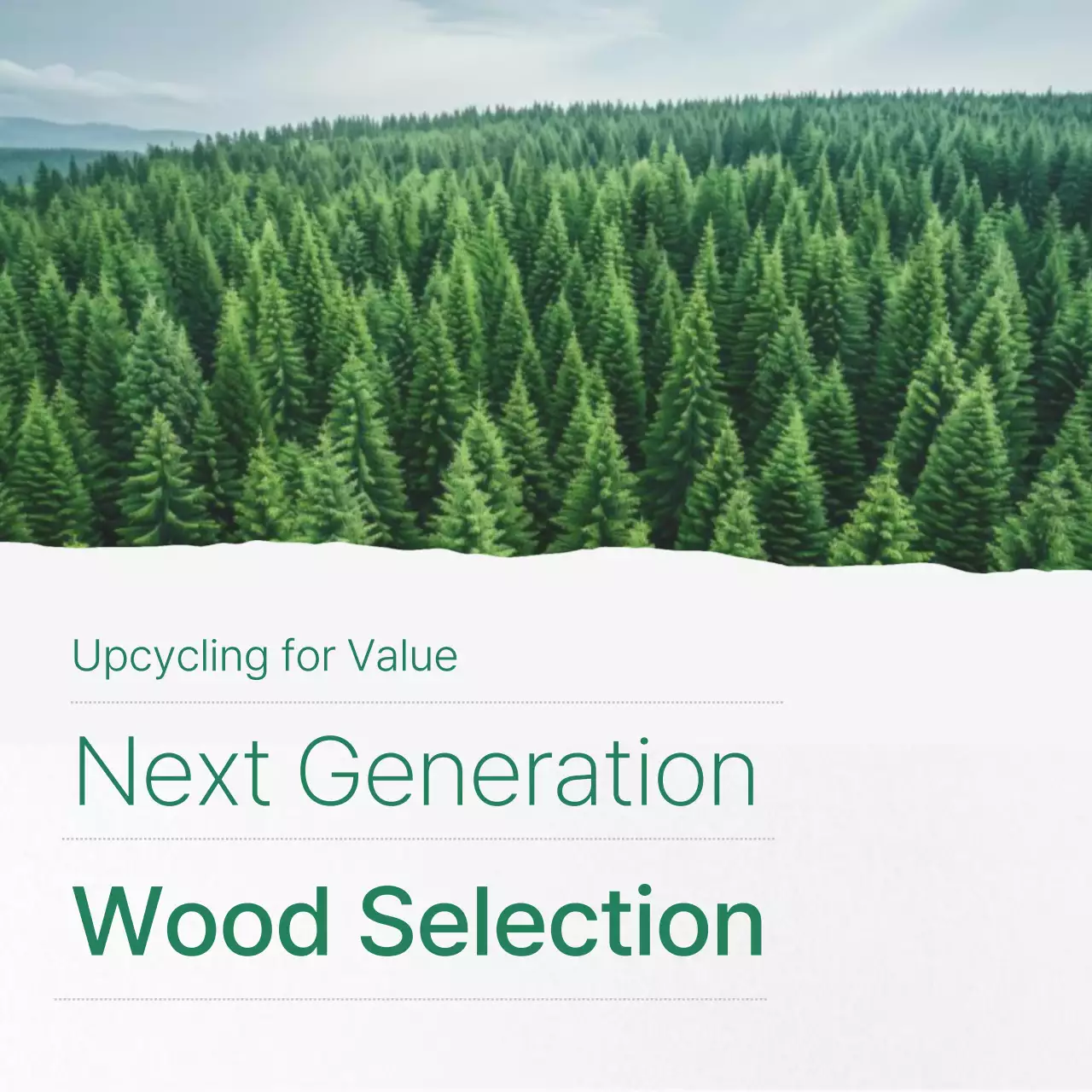 Guia do Meio Ambiente Natural Verde