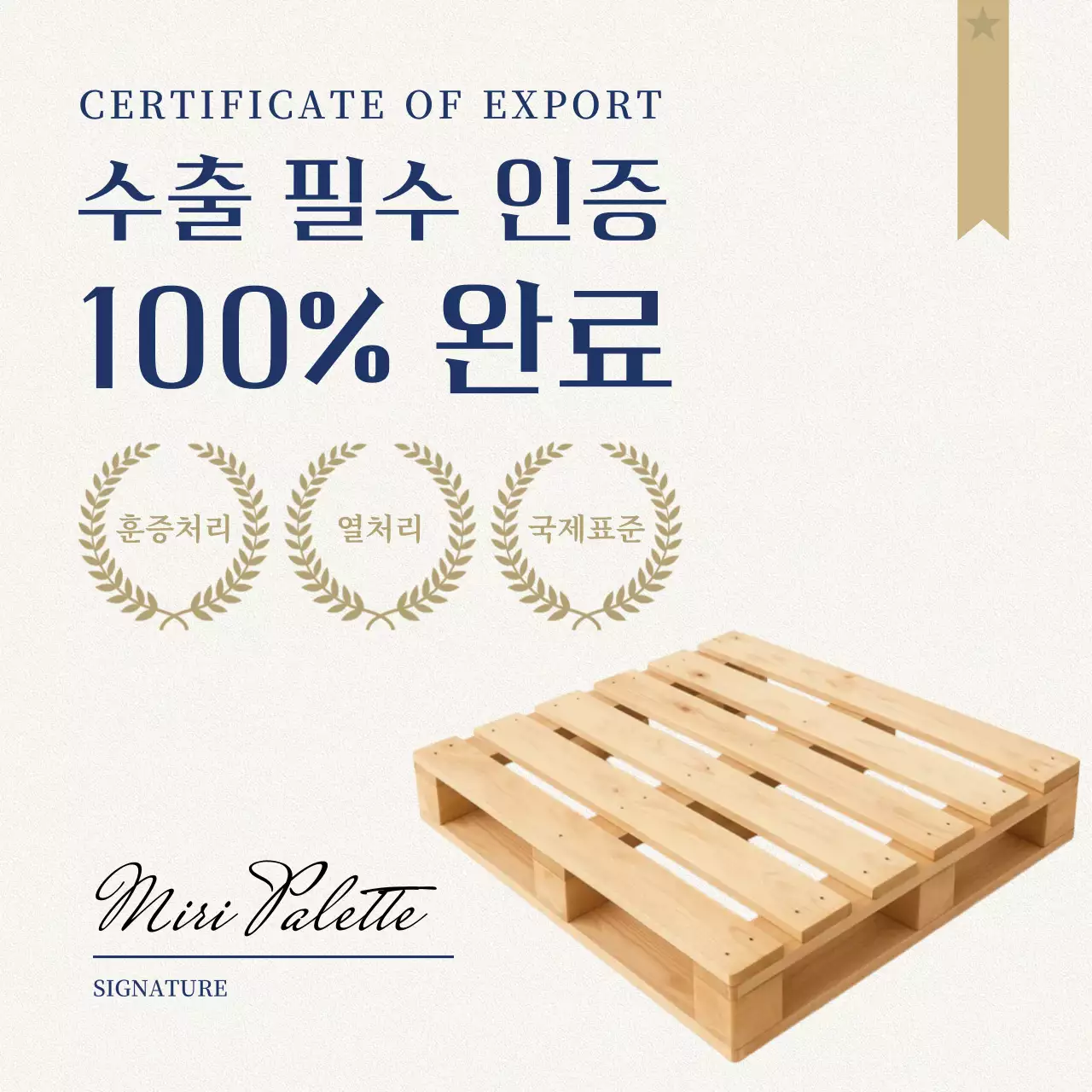 베이지 심플 수출 안내