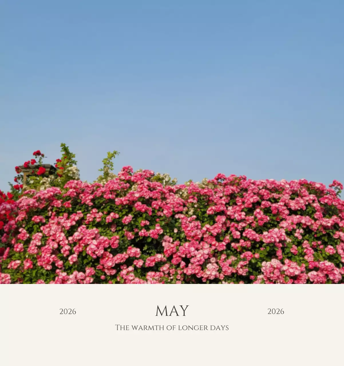 노랑 모던 도시 생활 포스터