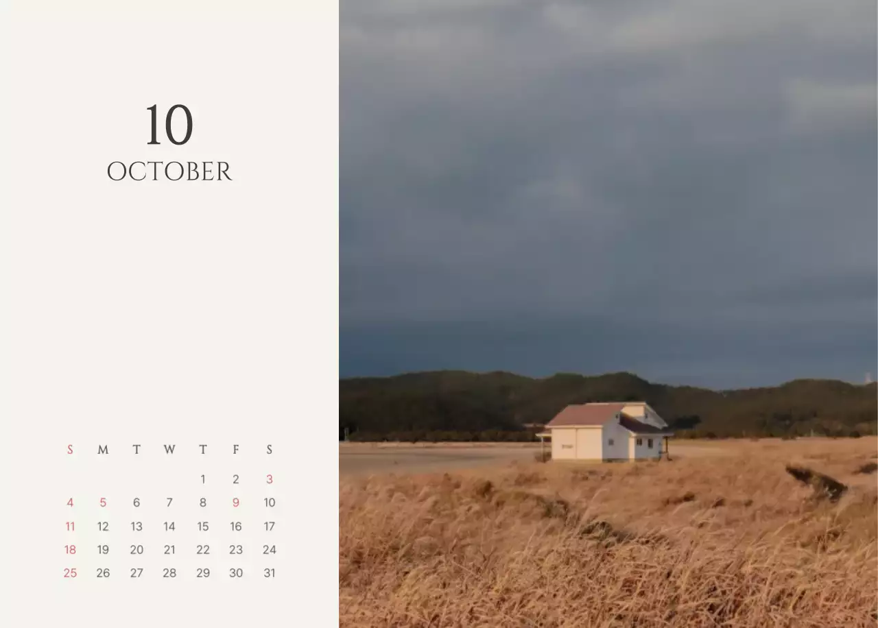 노랑 심플 캘린더 안내