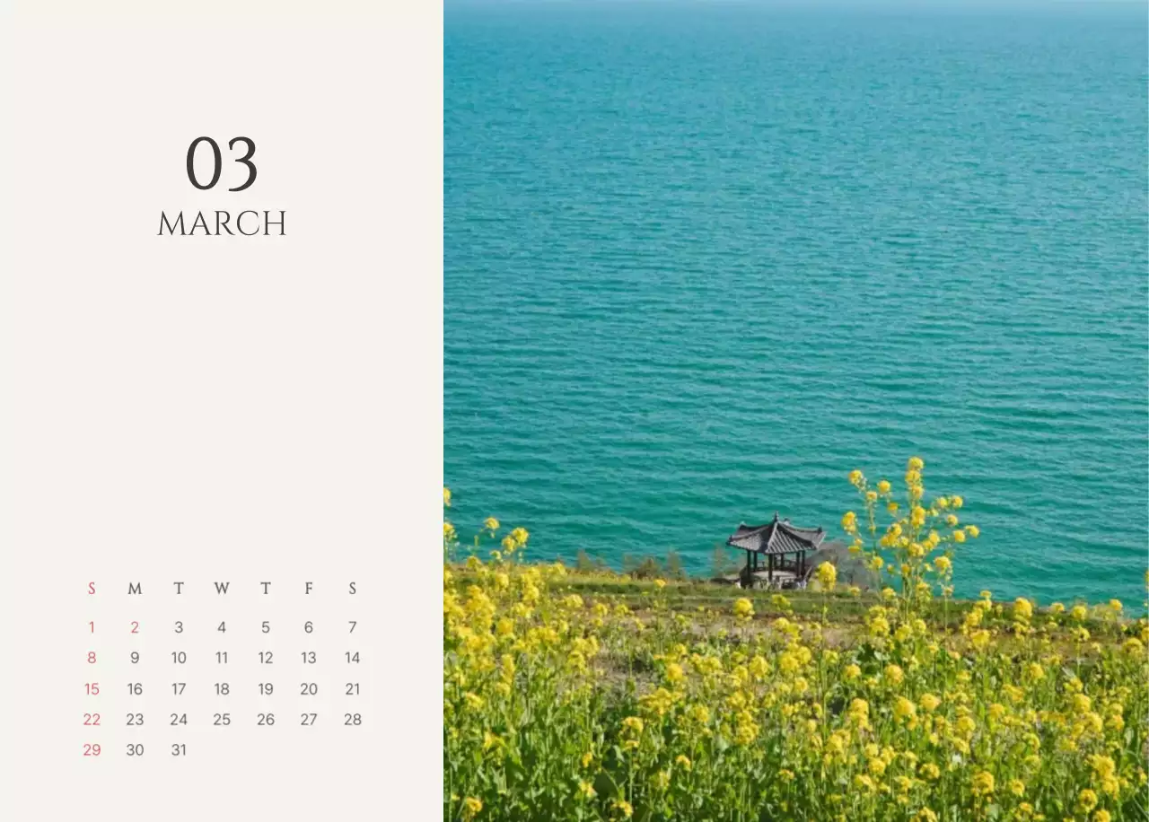 노랑 심플 캘린더 안내