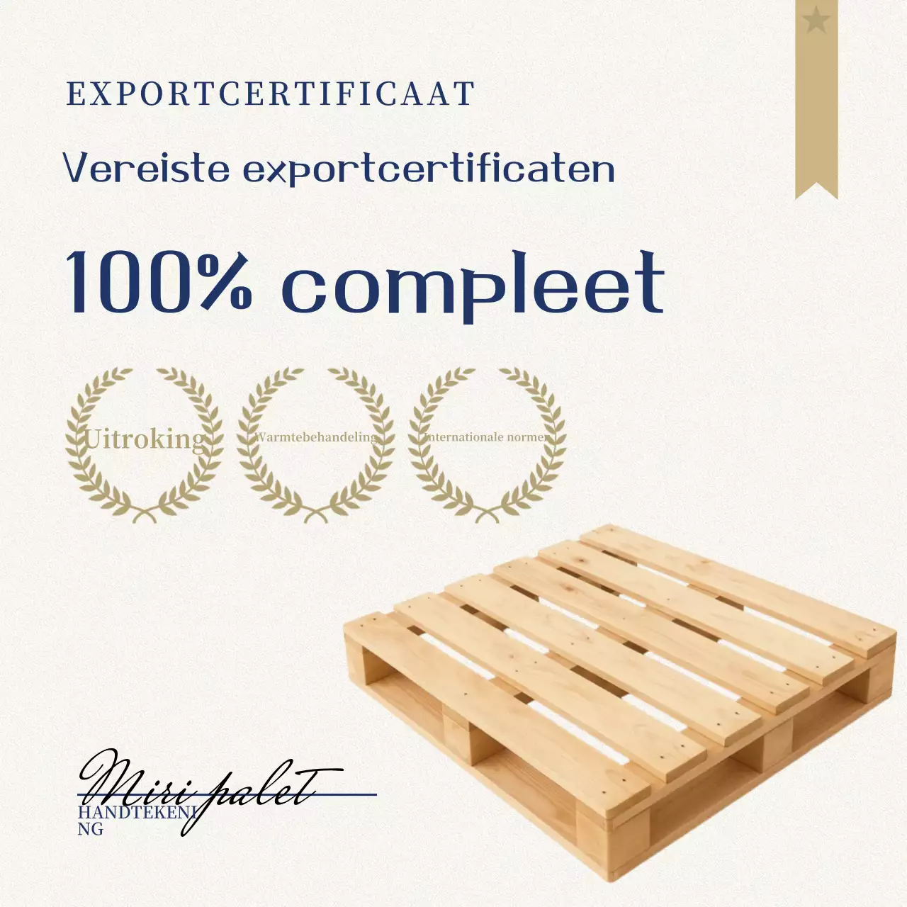 Beige Eenvoudige Exportgids