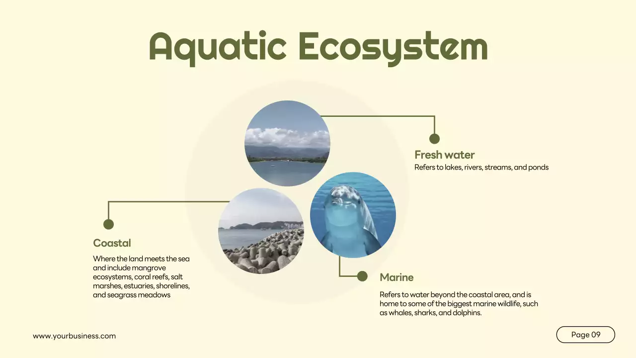 Green Simple Animal Lecture Presentation