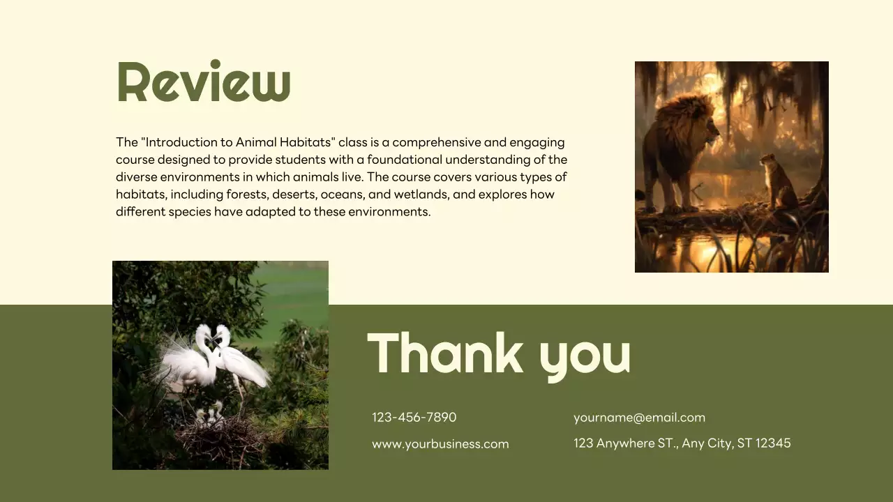 Green Simple Animal Lecture Presentation