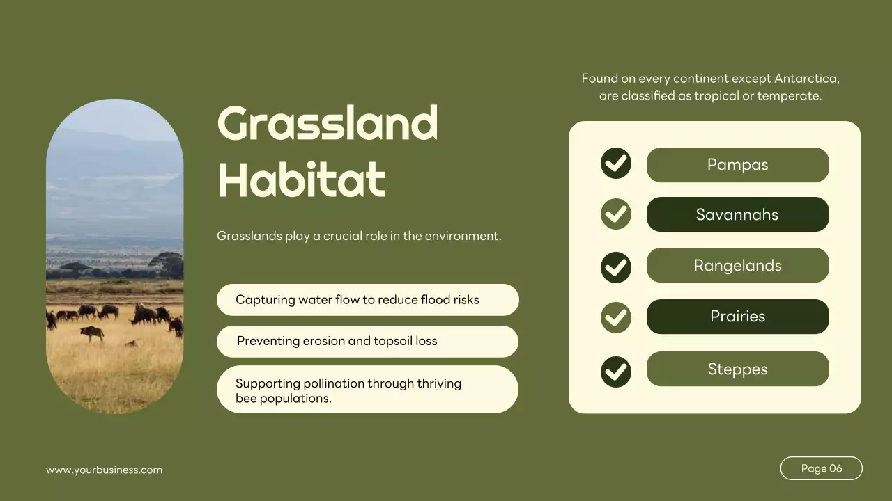 Green Simple Animal Lecture Presentation