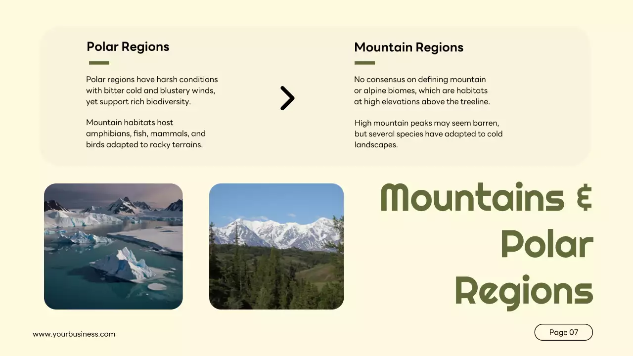 Green Simple Animal Lecture Presentation