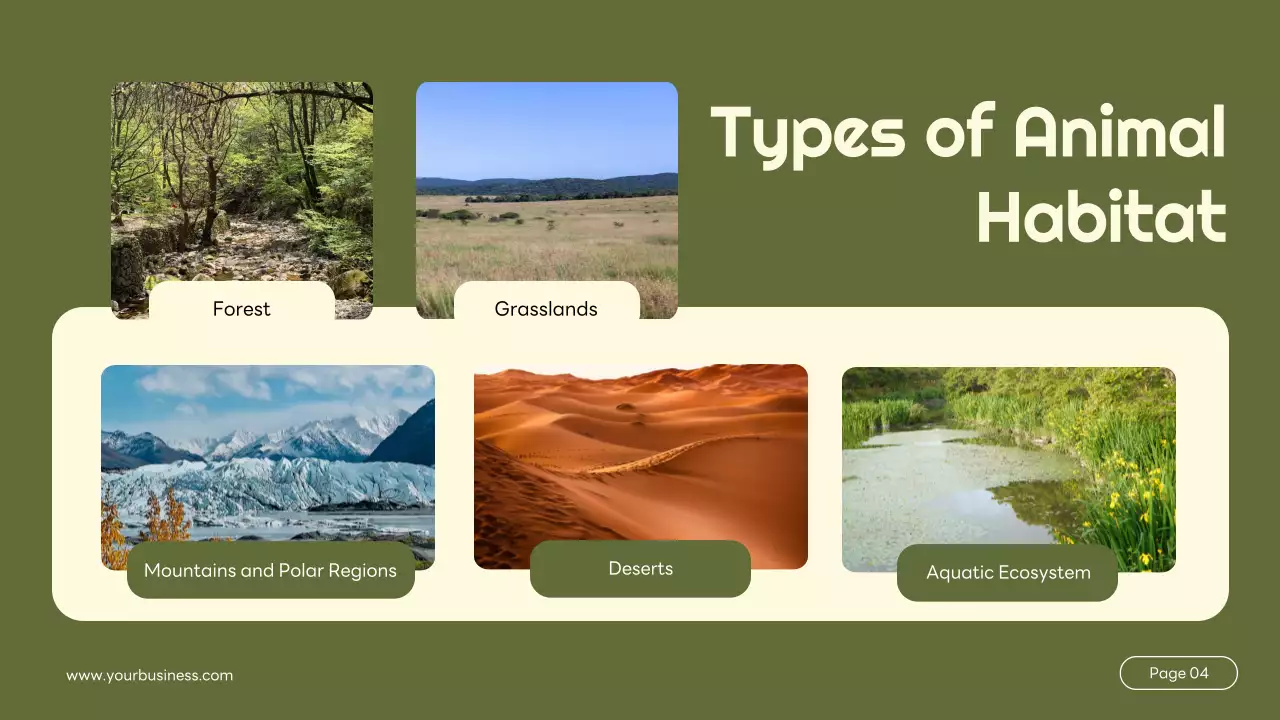 Green Simple Animal Lecture Presentation