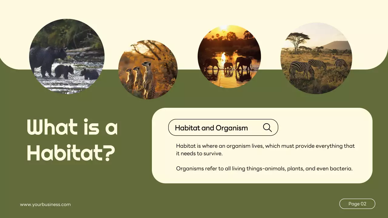 Green Simple Animal Lecture Presentation