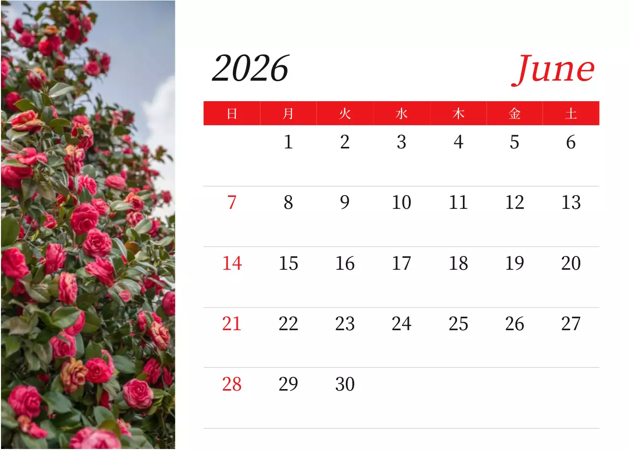 カラフルで高級感のあるフラワーカレンダー