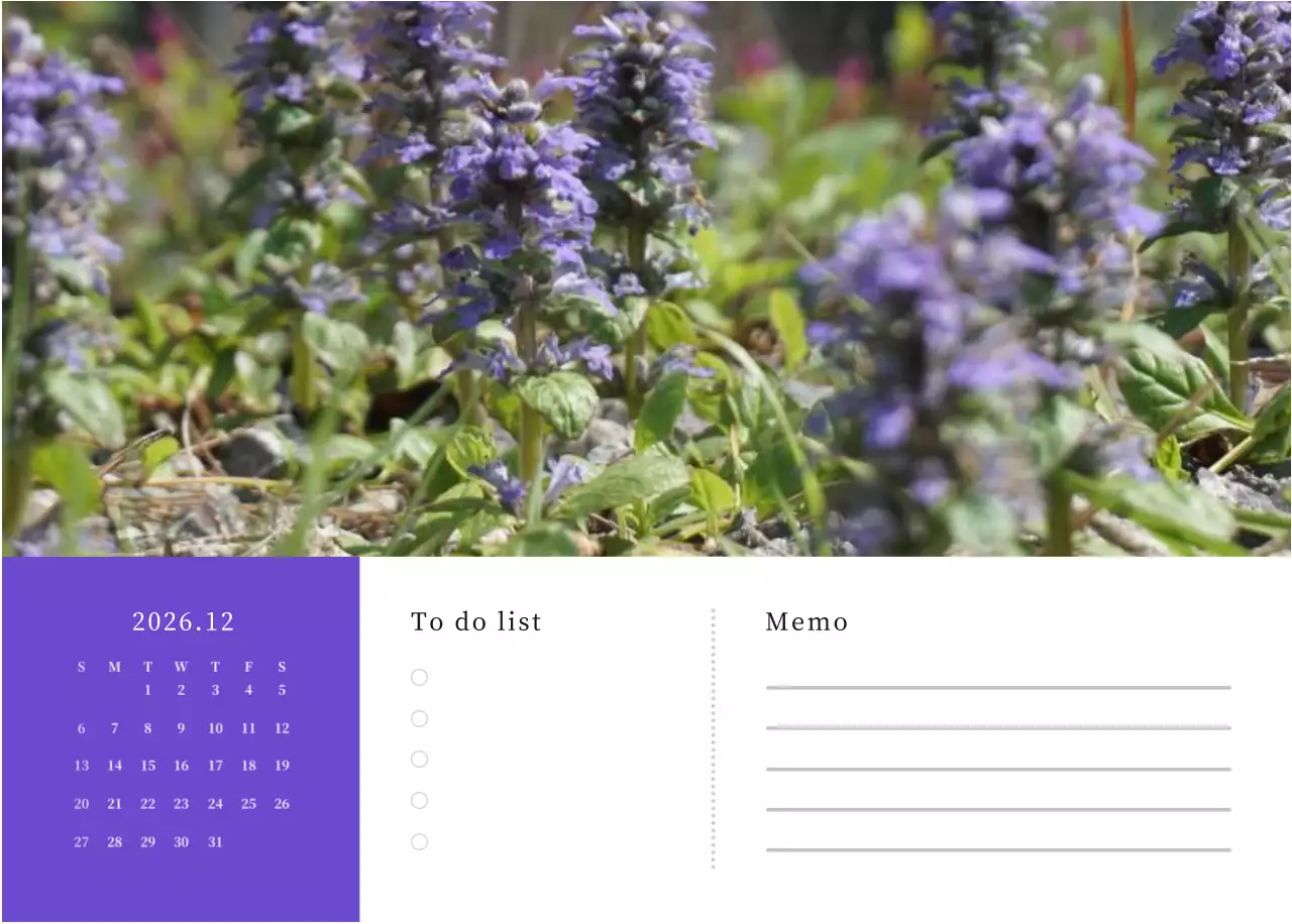 カラフルで高級感のあるフラワーカレンダー