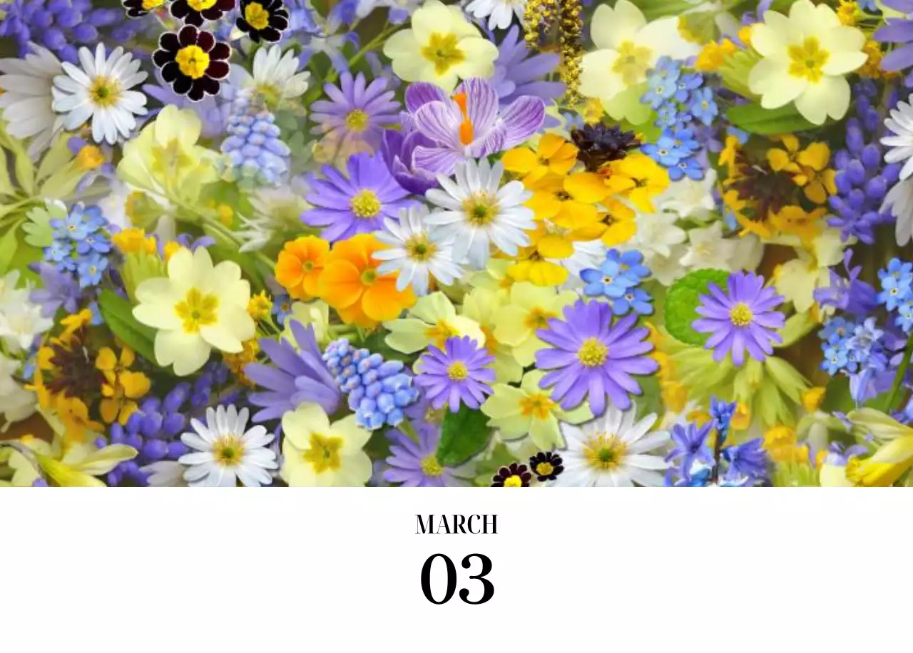 黒と白のシンプルな花写真カレンダー