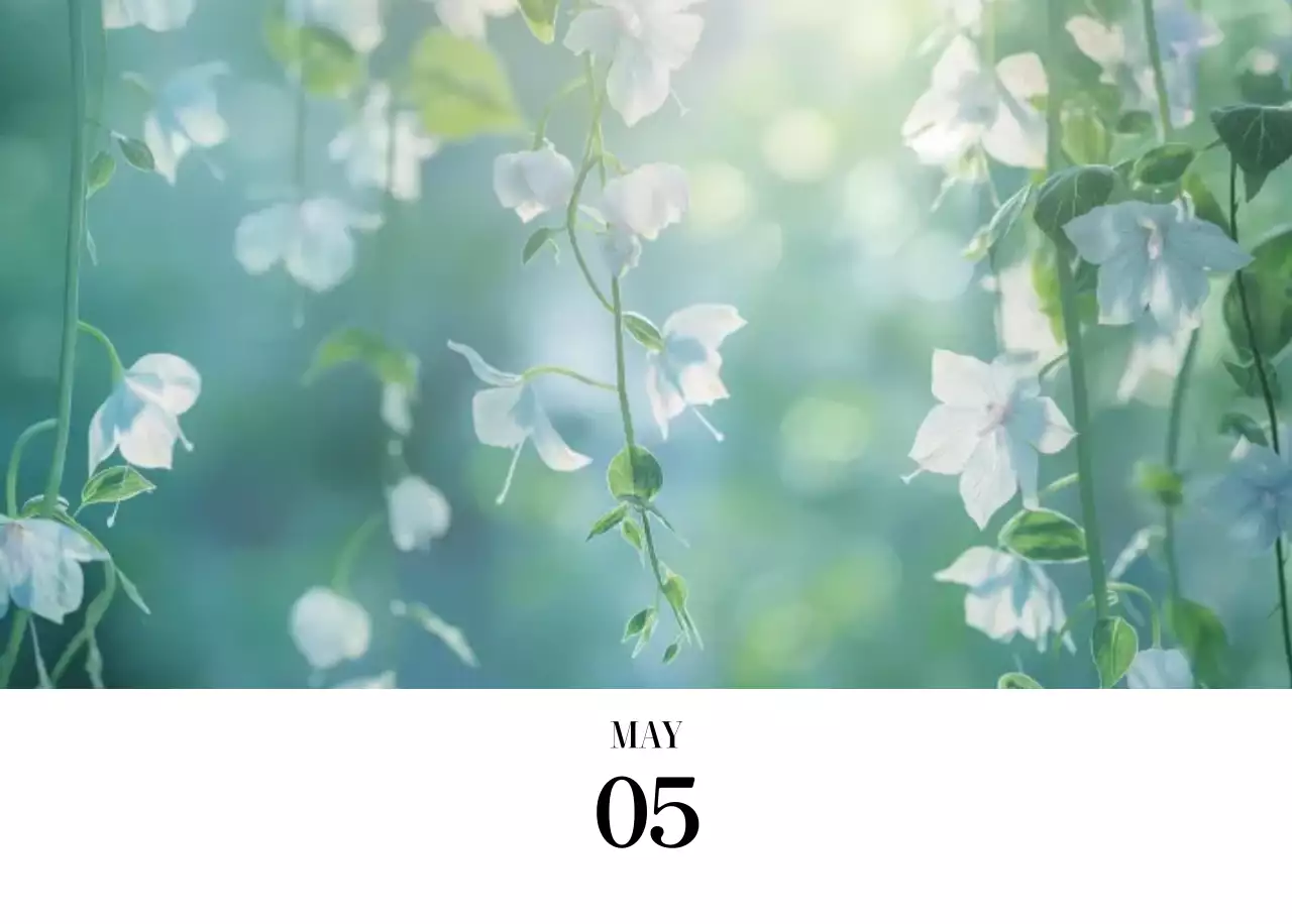 黒と白のシンプルな花写真カレンダー