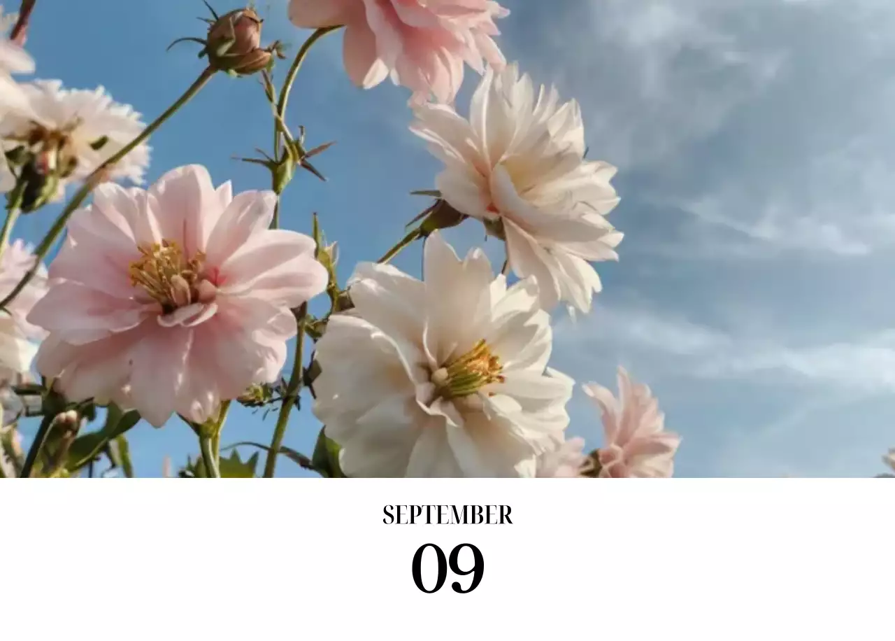 黒と白のシンプルな花写真カレンダー